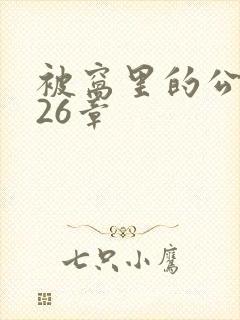 被窝里的公憩第26章