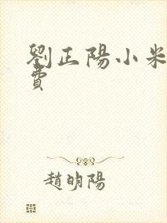 刘正阳小米多免费