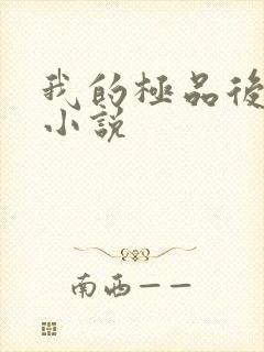 我的极品后宫 小说