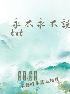 永不永不说再见txt