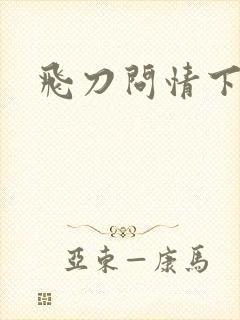 飞刀问情下载