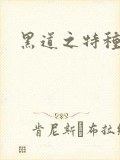 黑道之特种兵王