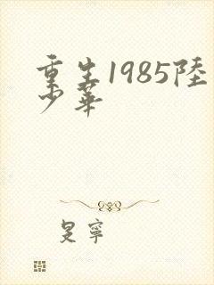 重生1985陆少华