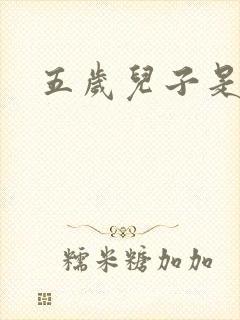 五岁儿子是相公