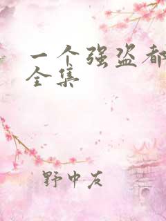 一个强盗都不留全集