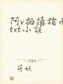 阿v拍摄指南说txt小说