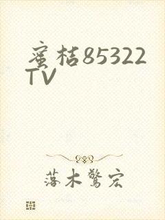 蜜桔85322TV