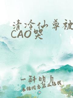 清冷仙尊被强制CAO哭