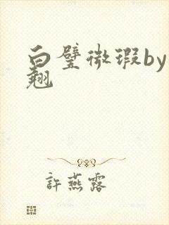 白璧微瑕by连翘