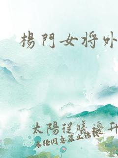 杨门女将外传