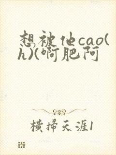 想被他cao(h)(啊肥阿