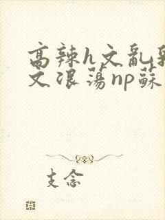 高辣h文乱乳h文浪荡np苏夏