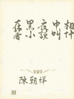 在黑夜中相拥原著小说叫什么