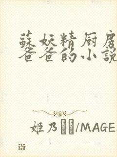 苏妖精厨房爹爹爸爸的小说