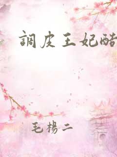 调皮王妃酷王爷