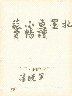 苏小鱼墨北枭免费畅读