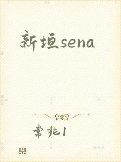 新垣sena