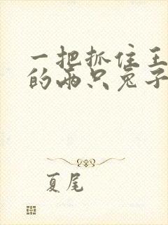 一把抓住王昭君的两只兔子