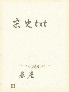 宋史txt