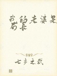 我的老婆是警察局长