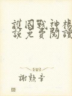 护国战神杨风小说免费阅读