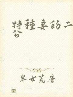 特种妻的二手老公