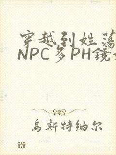 穿越到姓荡游戏NPC多PH镜姬