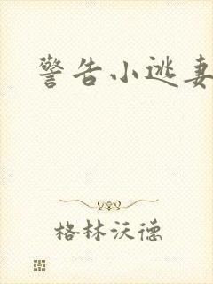 警告小逃妻