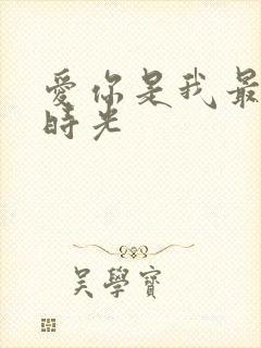 爱你是我最好的时光