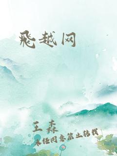 飞越网