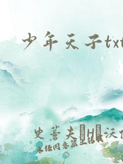 少年天子txt
