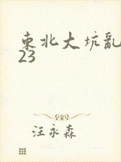 东北大坑乱1—23