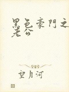 黑色豪门之王子老公