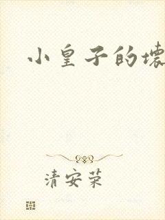 小皇子的坏王妃