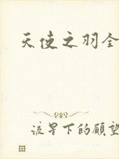 天使之羽全集