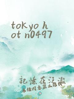 tokyo hot n0497