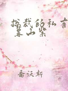 总裁的私有宝贝 暮山紫