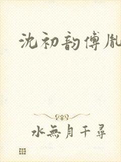 沈初韵傅胤小说