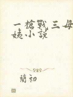 一枪战三母2雪姨小说