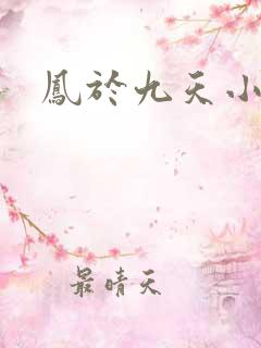 凤于九天小说