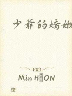 少爷的娇嫩女仆