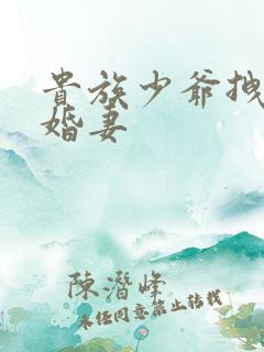 贵族少爷拽拽未婚妻