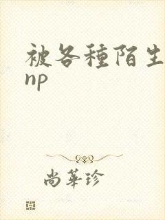 被各种陌生人 np