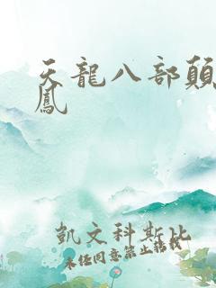 天龙八部颠龙鸾凤