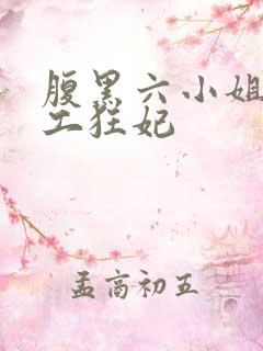 腹黑六小姐 特工狂妃