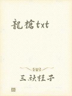 龙枪txt