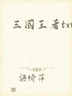 三国王者txt