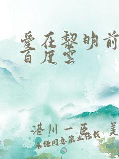 爱在黎明前降落百度云