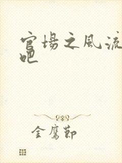 官场之风流人生吧