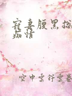 宠妻腹黑总裁太痴情